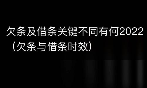 欠条及借条关键不同有何2022（欠条与借条时效）