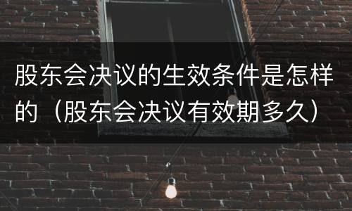 股东会决议的生效条件是怎样的（股东会决议有效期多久）