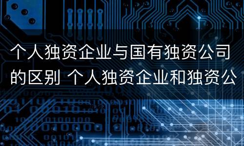 个人独资企业与国有独资公司的区别 个人独资企业和独资公司的区别