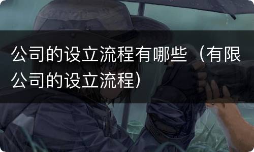 公司的设立流程有哪些（有限公司的设立流程）