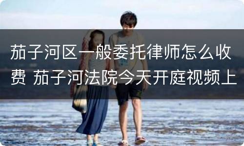 茄子河区一般委托律师怎么收费 茄子河法院今天开庭视频上哪看