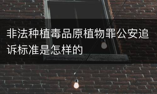 非法种植毒品原植物罪公安追诉标准是怎样的