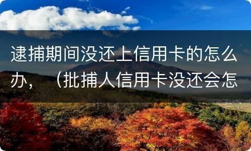 逮捕期间没还上信用卡的怎么办，（批捕人信用卡没还会怎样）