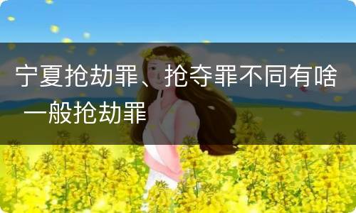 宁夏抢劫罪、抢夺罪不同有啥 一般抢劫罪