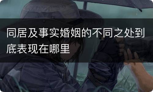同居及事实婚姻的不同之处到底表现在哪里