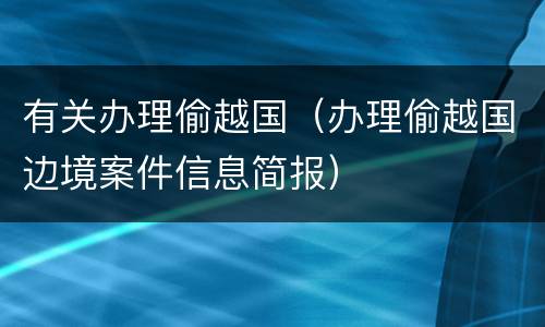 有关办理偷越国（办理偷越国边境案件信息简报）