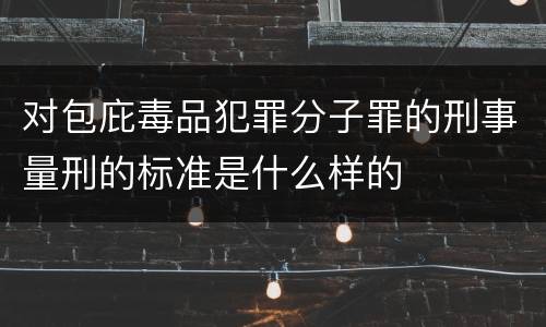 对包庇毒品犯罪分子罪的刑事量刑的标准是什么样的
