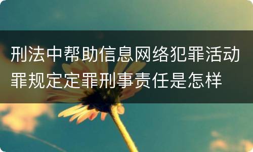 刑法中帮助信息网络犯罪活动罪规定定罪刑事责任是怎样