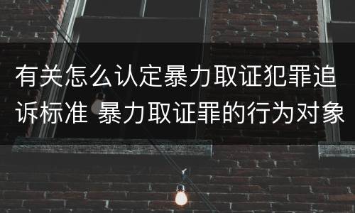 有关怎么认定暴力取证犯罪追诉标准 暴力取证罪的行为对象