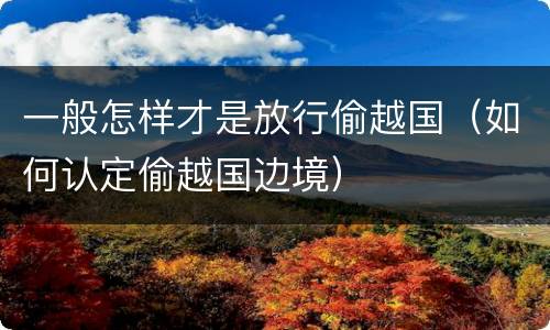 一般怎样才是放行偷越国（如何认定偷越国边境）