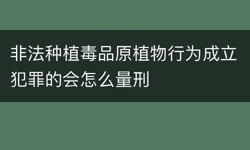 非法种植毒品原植物行为成立犯罪的会怎么量刑