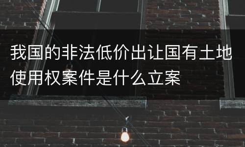 我国的非法低价出让国有土地使用权案件是什么立案