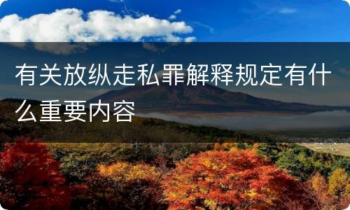 有关放纵走私罪解释规定有什么重要内容
