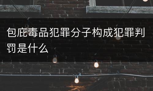包庇毒品犯罪分子构成犯罪判罚是什么