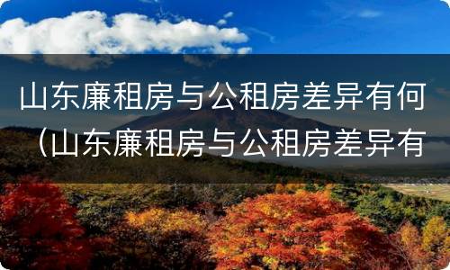 山东廉租房与公租房差异有何（山东廉租房与公租房差异有何规定）