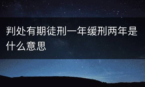 判处有期徒刑一年缓刑两年是什么意思