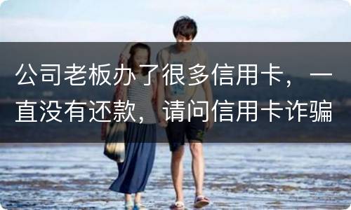 公司老板办了很多信用卡，一直没有还款，请问信用卡诈骗罪定罪量刑标准