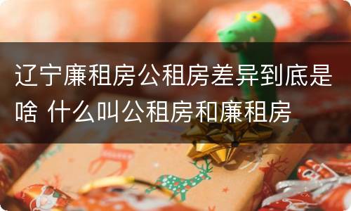 辽宁廉租房公租房差异到底是啥 什么叫公租房和廉租房