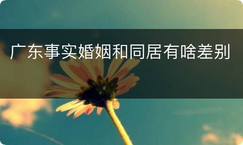 广东事实婚姻和同居有啥差别