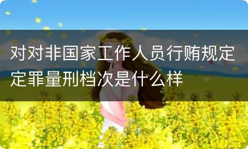 对对非国家工作人员行贿规定定罪量刑档次是什么样