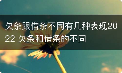 欠条跟借条不同有几种表现2022 欠条和借条的不同