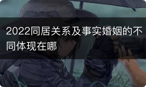 2022同居关系及事实婚姻的不同体现在哪