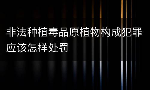 非法种植毒品原植物构成犯罪应该怎样处罚