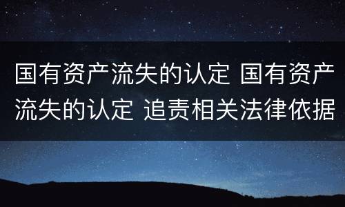 国有资产流失的认定 国有资产流失的认定 追责相关法律依据