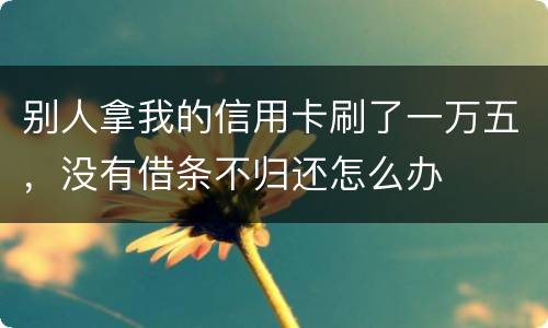 别人拿我的信用卡刷了一万五，没有借条不归还怎么办