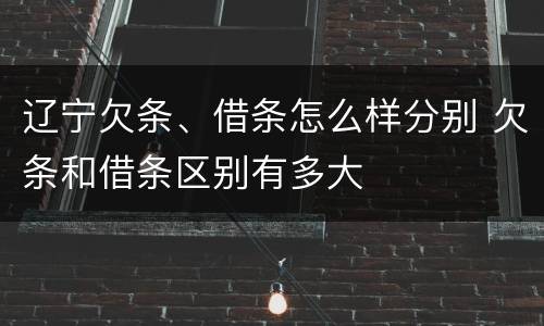 辽宁欠条、借条怎么样分别 欠条和借条区别有多大