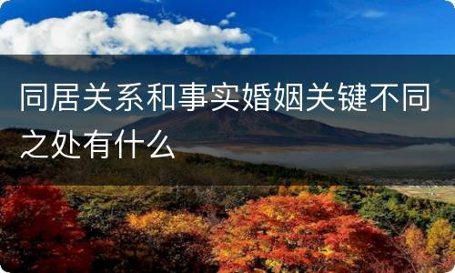 同居关系和事实婚姻关键不同之处有什么