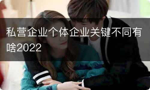 私营企业个体企业关键不同有啥2022