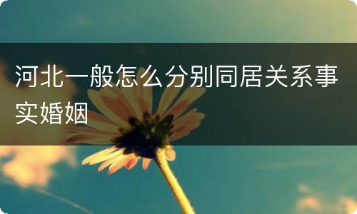 河北一般怎么分别同居关系事实婚姻