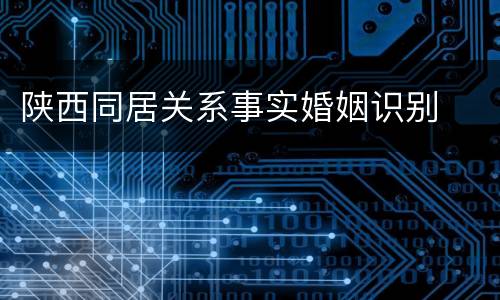 陕西同居关系事实婚姻识别
