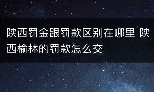 陕西罚金跟罚款区别在哪里 陕西榆林的罚款怎么交