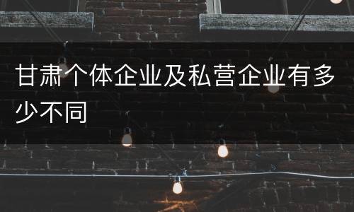 甘肃个体企业及私营企业有多少不同