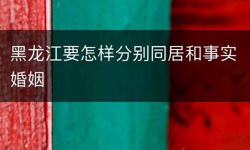黑龙江要怎样分别同居和事实婚姻