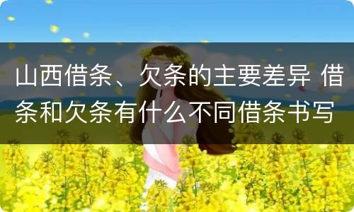 山西借条、欠条的主要差异 借条和欠条有什么不同借条书写