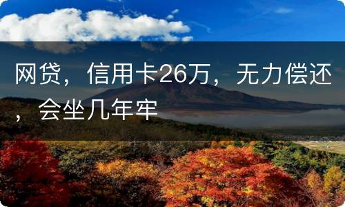 网贷，信用卡26万，无力偿还，会坐几年牢