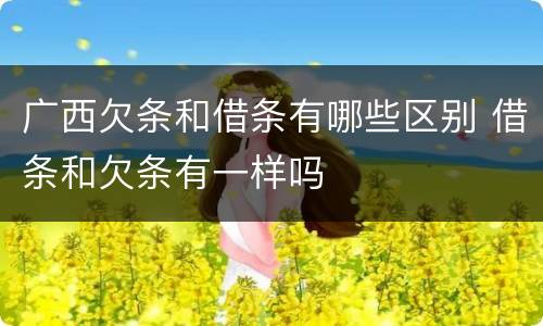 广西欠条和借条有哪些区别 借条和欠条有一样吗
