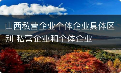 山西私营企业个体企业具体区别 私营企业和个体企业