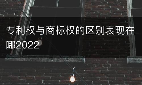 专利权与商标权的区别表现在哪2022