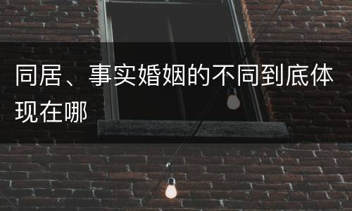 同居、事实婚姻的不同到底体现在哪