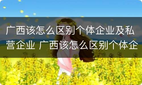 广西该怎么区别个体企业及私营企业 广西该怎么区别个体企业及私营企业呢