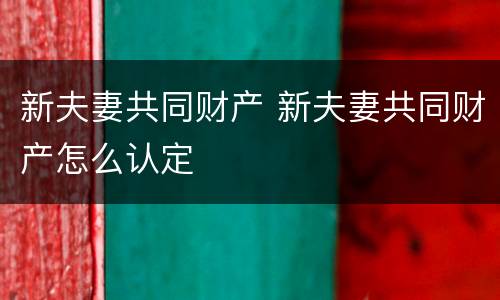 新夫妻共同财产 新夫妻共同财产怎么认定