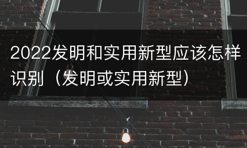 2022发明和实用新型应该怎样识别（发明或实用新型）