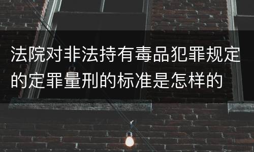 法院对非法持有毒品犯罪规定的定罪量刑的标准是怎样的