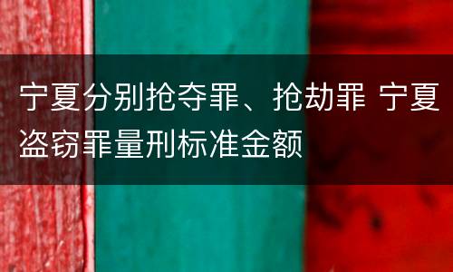 宁夏分别抢夺罪、抢劫罪 宁夏盗窃罪量刑标准金额