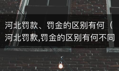 河北罚款、罚金的区别有何（河北罚款,罚金的区别有何不同）