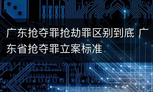 广东抢夺罪抢劫罪区别到底 广东省抢夺罪立案标准